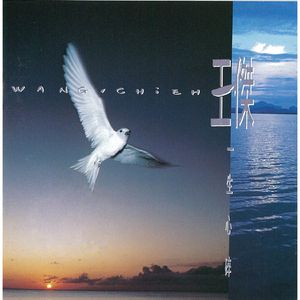 3p视频免费视频
