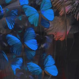 3p视频免费视频
